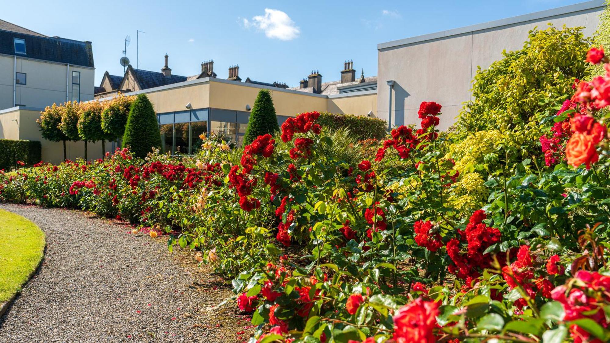 Ballymascanlon Hotel And Golf Resort Dundalk Buitenkant foto